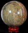 Colorful Petrified Wood Sphere #49771-1